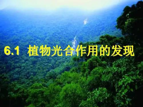苏教版生物七上3.6.1 植物光合作用的发现  课件(共21张PPT)