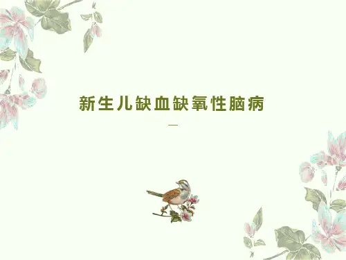 新生儿缺血缺氧性脑病影像诊断