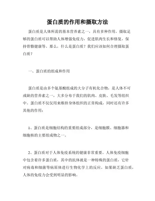 蛋白质的作用和摄取方法