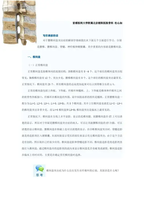 腰突症解剖