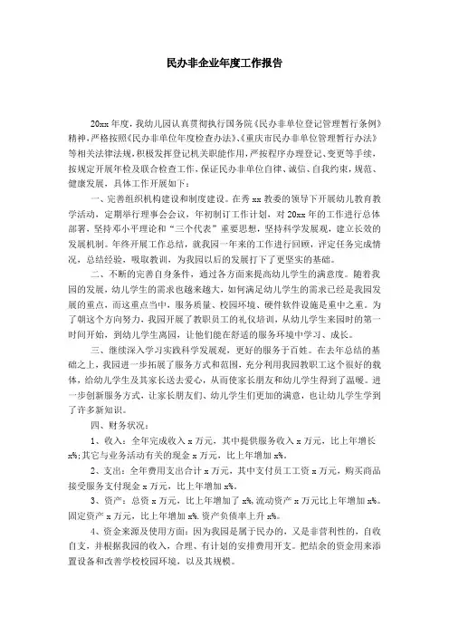 民办非企业年度工作报告-总结报告模板