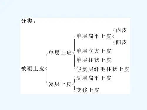 解剖学课程基本组织
