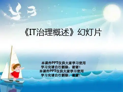 《IT治理概述》幻灯片
