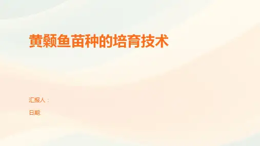 黄颡鱼苗种的培育技术