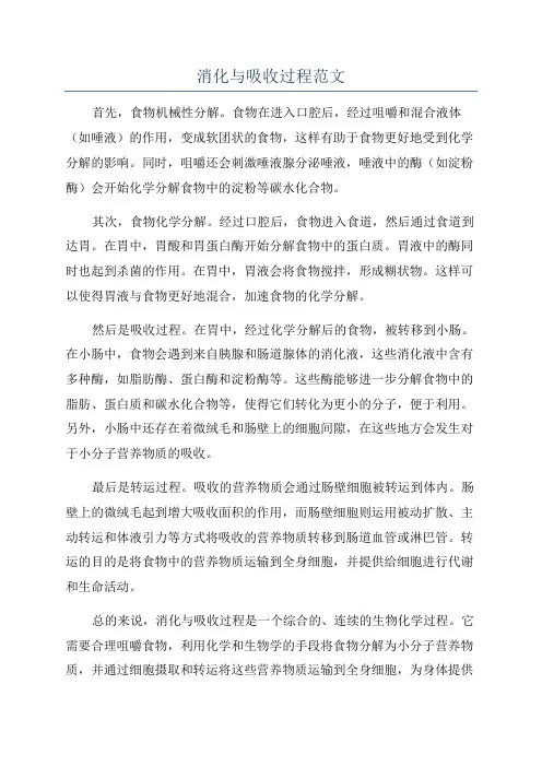 消化与吸收过程范文