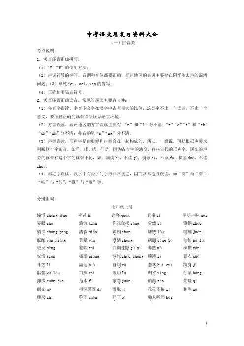 中考语文总复习16个专题指导与训练【含答案,161页】