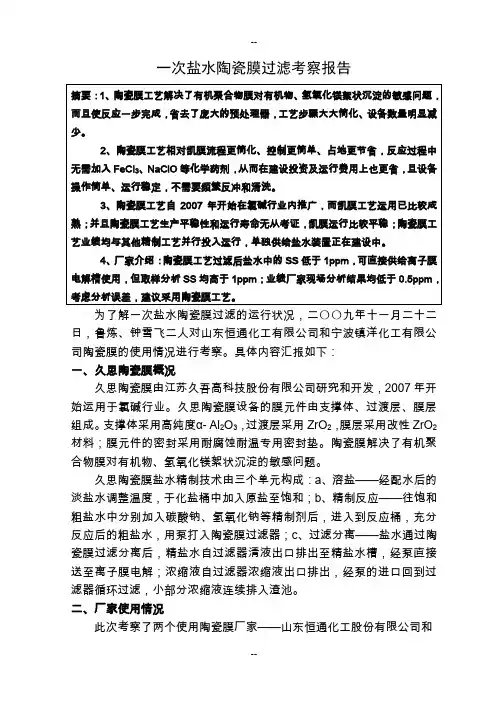 一次盐水考察报告