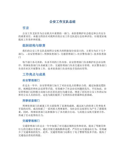 公安工作支队总结 (2)