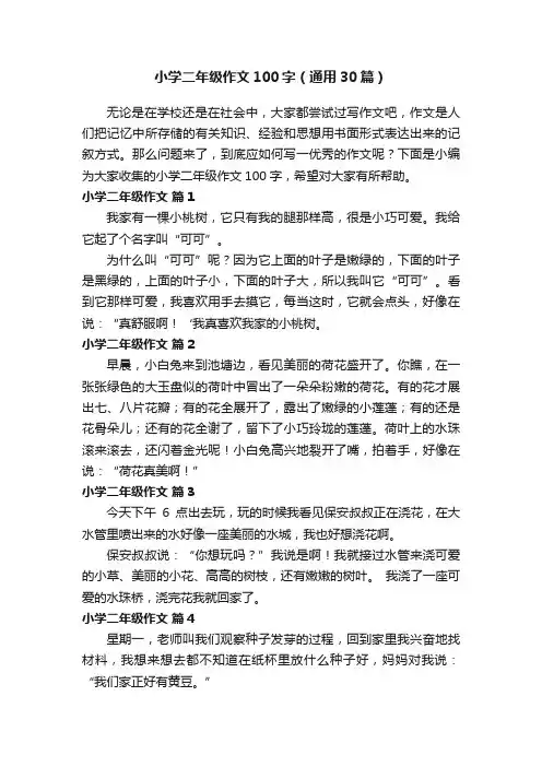 小学二年级作文100字（通用30篇）