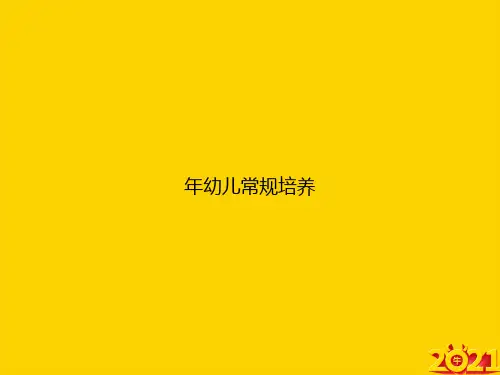年幼儿常规培养ppt正式完整版