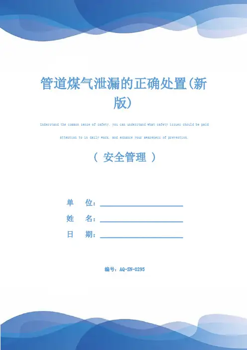 管道煤气泄漏的正确处置(新版)