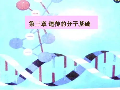遗传的分子基础3中讲2ppt课件