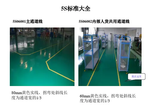 5S标准大全