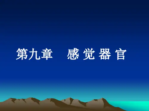 感官系统(生理学。第七版)ppt课件