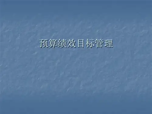 预算绩效目标管理