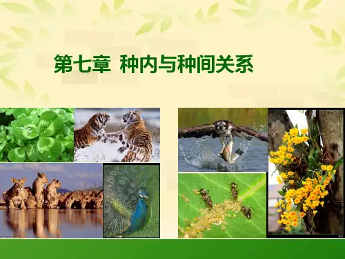种内和种间关系