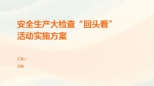 安全生产大检查“回头看”活动实施方案