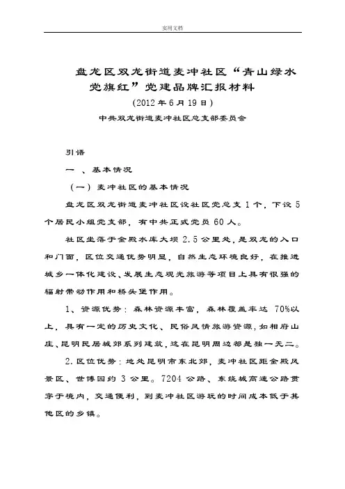 党建品牌申报资料