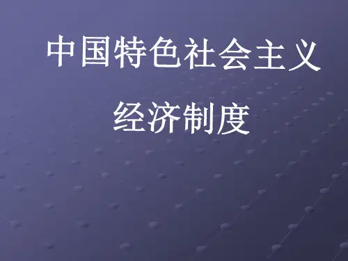 中国特色社会主义经济制度大全