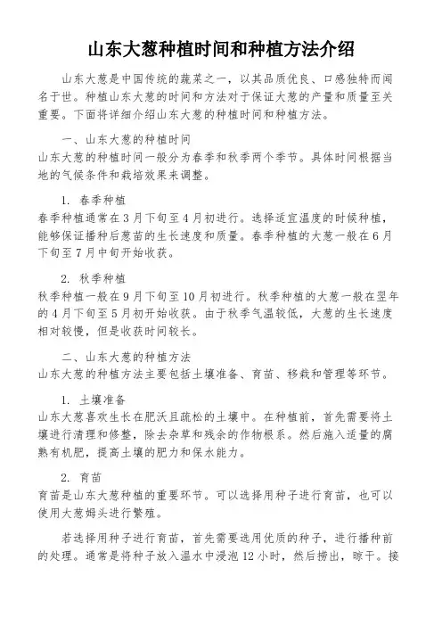 山东大葱种植时间和种植方法介绍