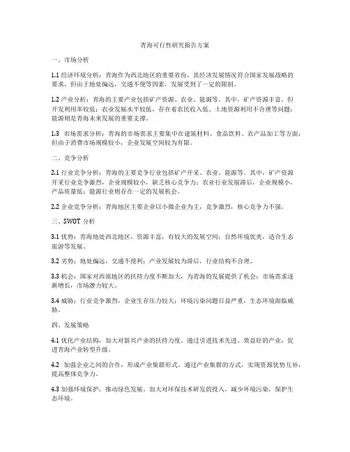 青海可行性研究报告方案
