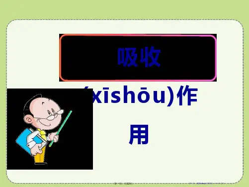 《吸收作用》PPT