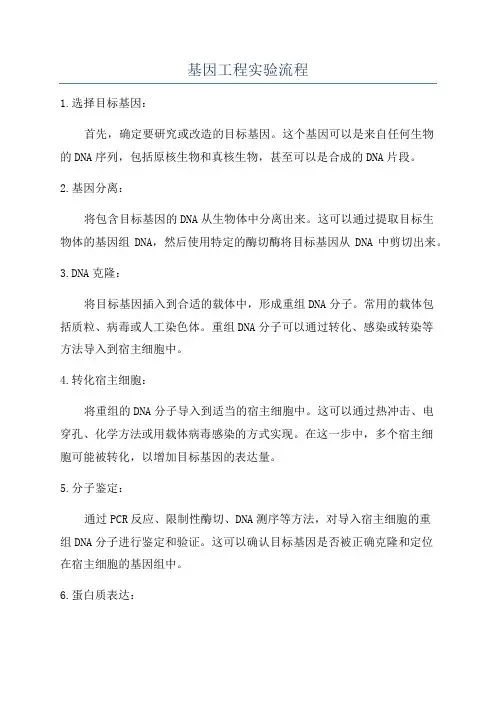 基因工程实验流程