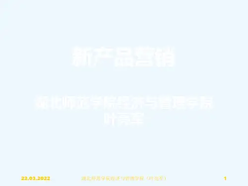 新产品上市计划与效果追踪(ppt 27页)