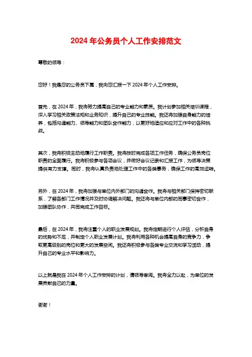 2024年公务员个人工作安排范文