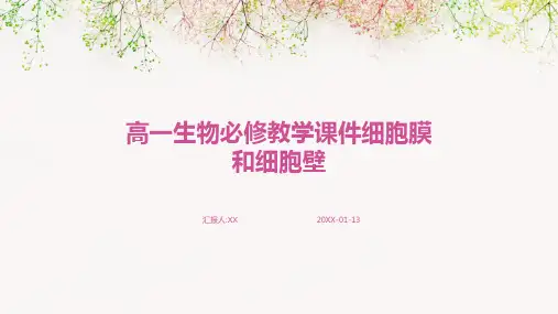高一生物必修教学课件细胞膜和细胞壁