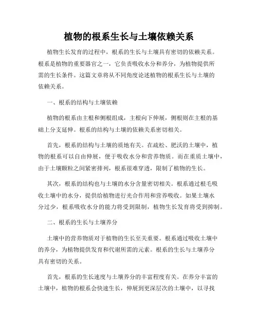 植物的根系生长与土壤依赖关系