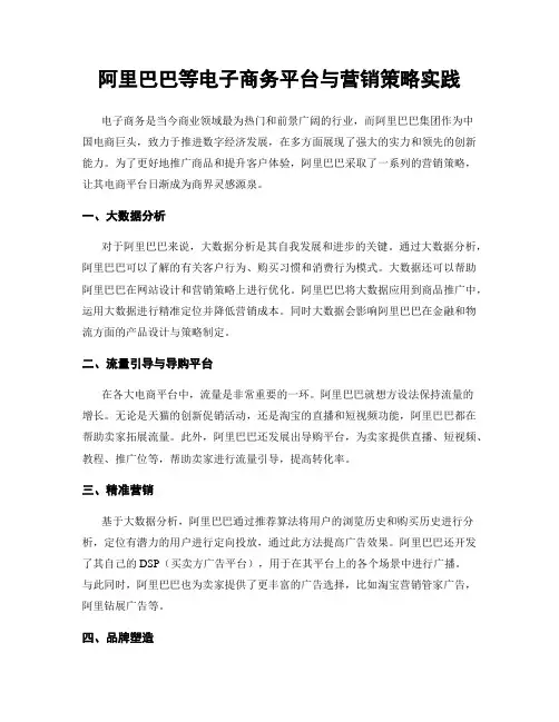 阿里巴巴等电子商务平台与营销策略实践