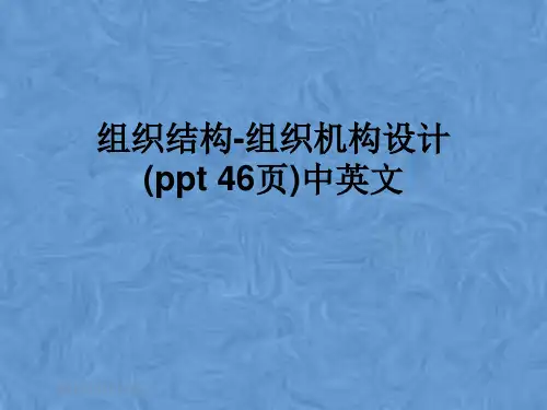 组织结构-组织机构设计(ppt 46页)中英文