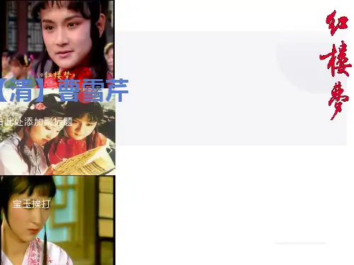 宝玉挨打(优秀课件)