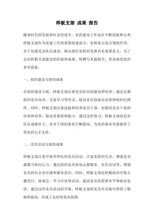 样板支部 成果 报告