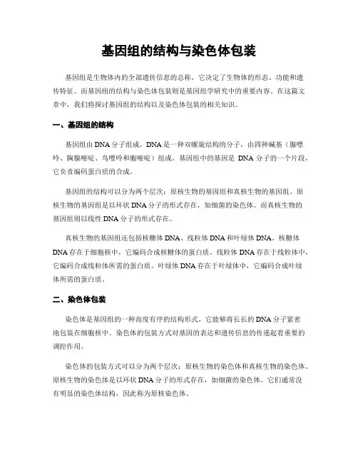 基因组的结构与染色体包装
