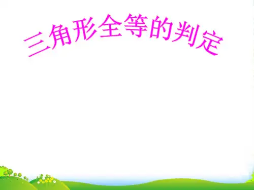 沪科版八年级数学上册《14.2三角形全等的判定》课件