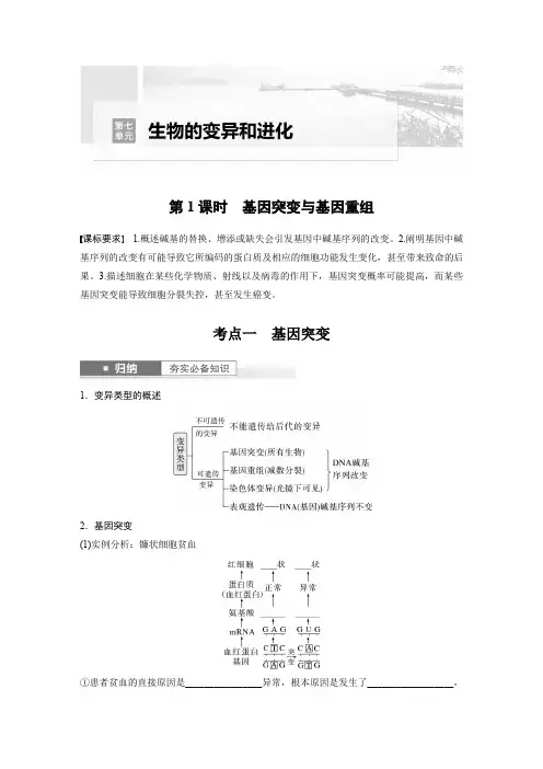 生物学案第七单元生物的变异和进化第1课时基因突变与基因重组