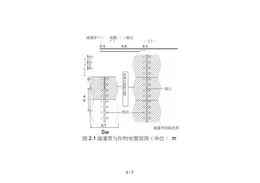 棉花膜下滴灌典型设计图纸一膜双管