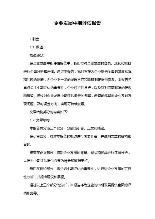 企业发展中期评估报告