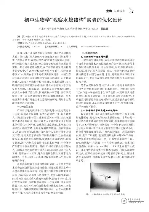初中生物学“观察水螅结构”实验的优化设计