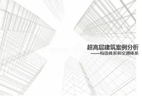 超高层建筑案例分析结构体系交通体系