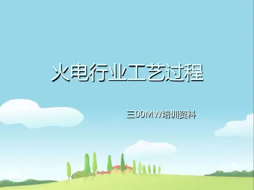 火电厂各系统流程图