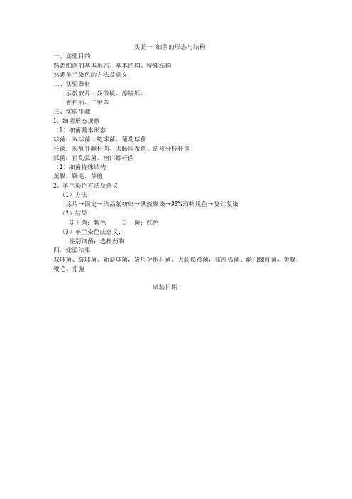 实验报告：细菌基本形态与结构
