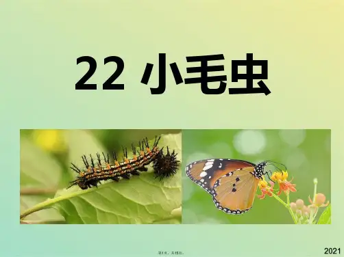 部编版二年级下册22小毛虫(共15张PPT)