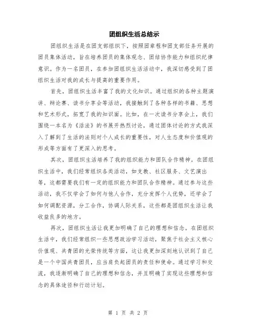 团组织生活总结示