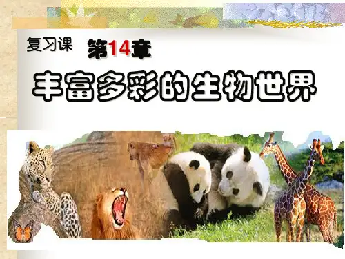 十四章-丰富多彩的生物世界复习课件