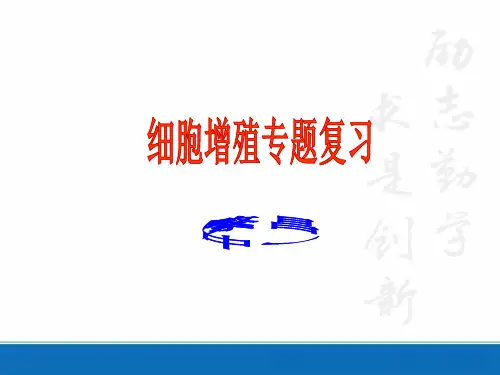 有丝分裂一轮复习公开课