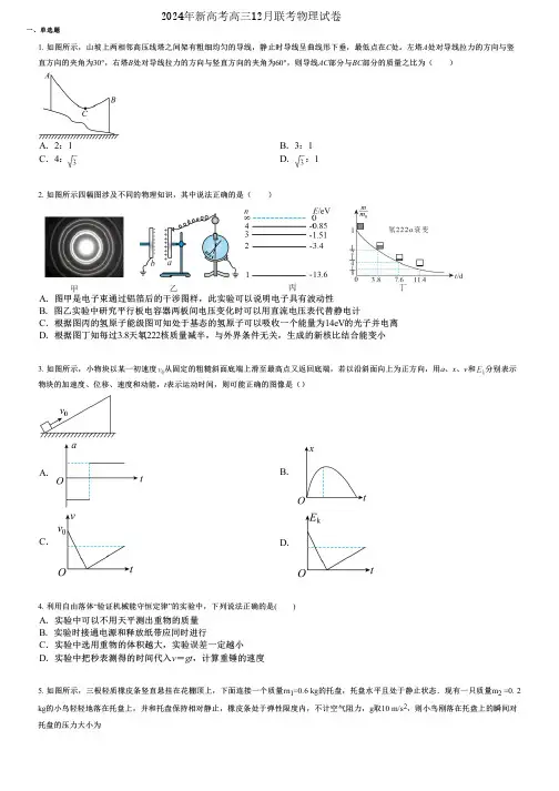 2024年新高考高三12月联考物理试卷
