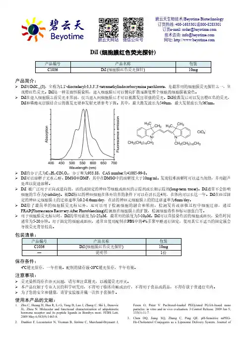 DiI (细胞膜红色荧光探针)说明书
